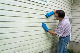 Shed Removal in Fordoche, LA